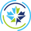 Canadian Premier League logo